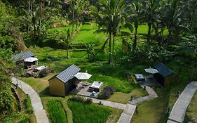 Bobocabin Ubud, Bali